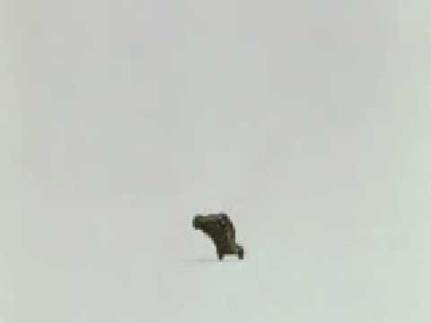 VW Käfer Werbung "Käferkiller"