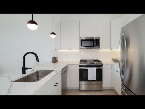 Stunning Apartment on Snyder Ave - Video 2 of 2