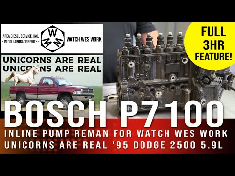 FULL FEATURE - Bosch P7100 Rebuild for MINT 5.9L 1995 Dodge Ram x @WatchWesWork Unicorns are Real!