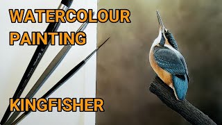 Painting A Kingfisher With Watercolour, How to Paint Birds