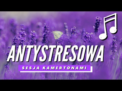 ♬ ANTYSTRESOWA Sesja Kamertonami 🔴 STRESS RELIEF Tuning Fork Session ✅✅✅
