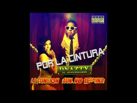 DNAZTY EL FUNCIONARIO -