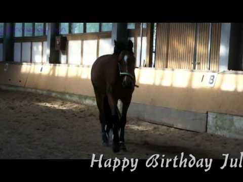 Happy Birthday Jule :* [juliundnemolinchen]