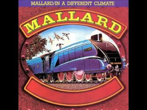 Mallard - Winged Tuskadero