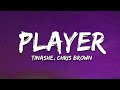 Tinashe Player Lyrics Ft Chris Brown