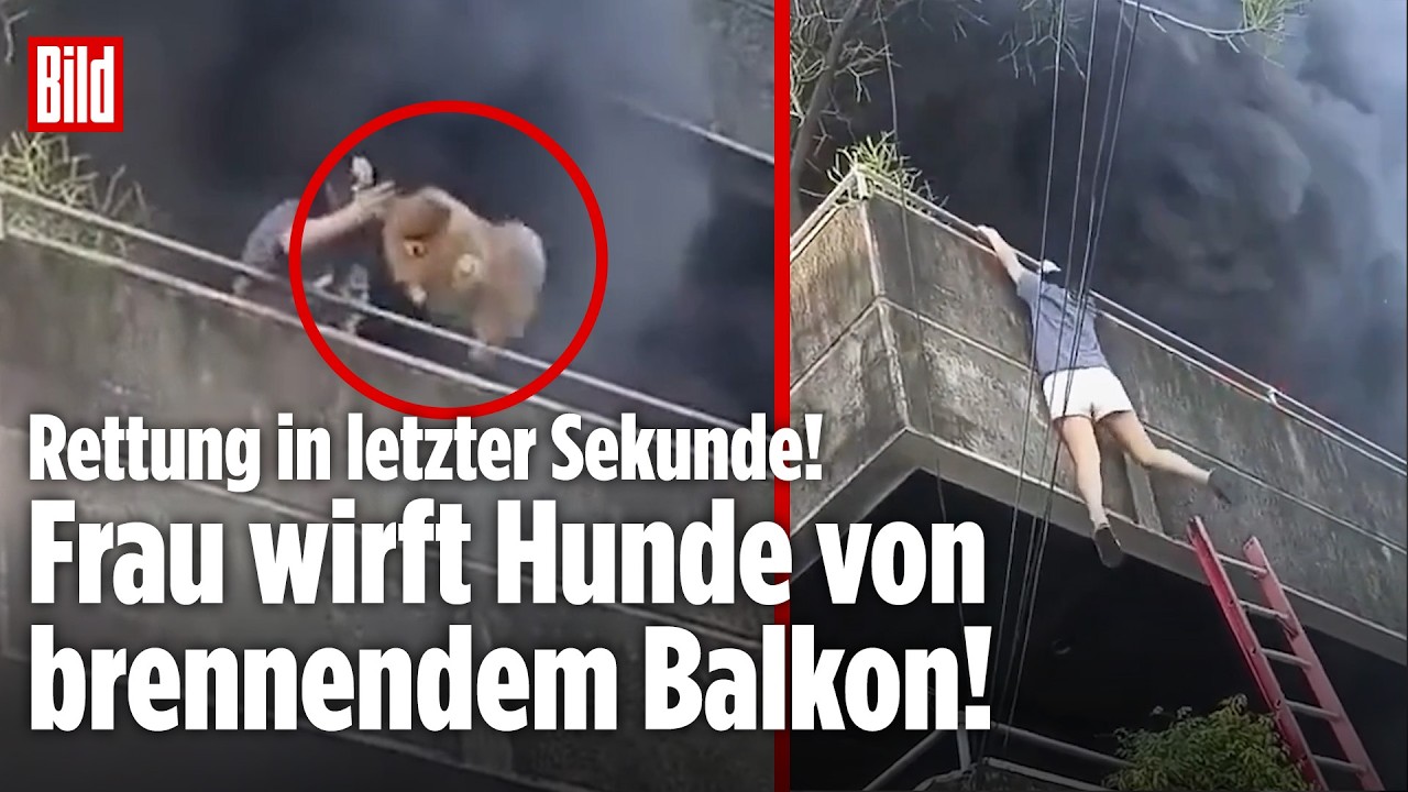 AKT DER VERZWEIFLUNG: Frau wirft Hunde von Balkon – Haus-Brand auf den Philippinen