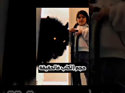 الحرامي دخل للبيت الغلط 💀 #shortvideo
