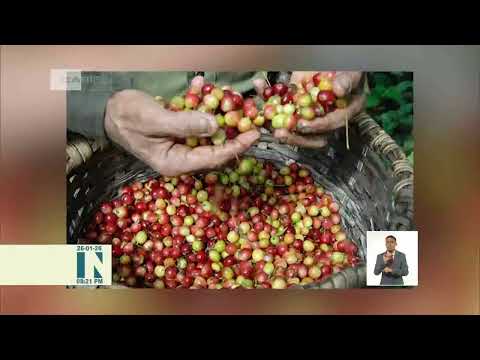 Breves Nacionales en Cuba