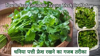 धनिया को 10 दिन तक ताजा रखने का गजब तरीका | How to keep Coriander leaves fresh