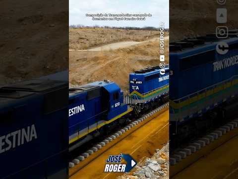 Composição da #transnordestina em #piquetcarneiro #ceará #viral #fy #shorts #nordeste #cearense