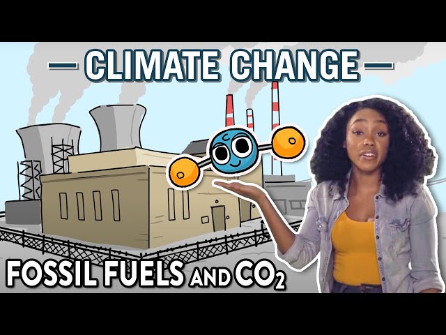 Chapter 3: Fossil Fuels and CO₂