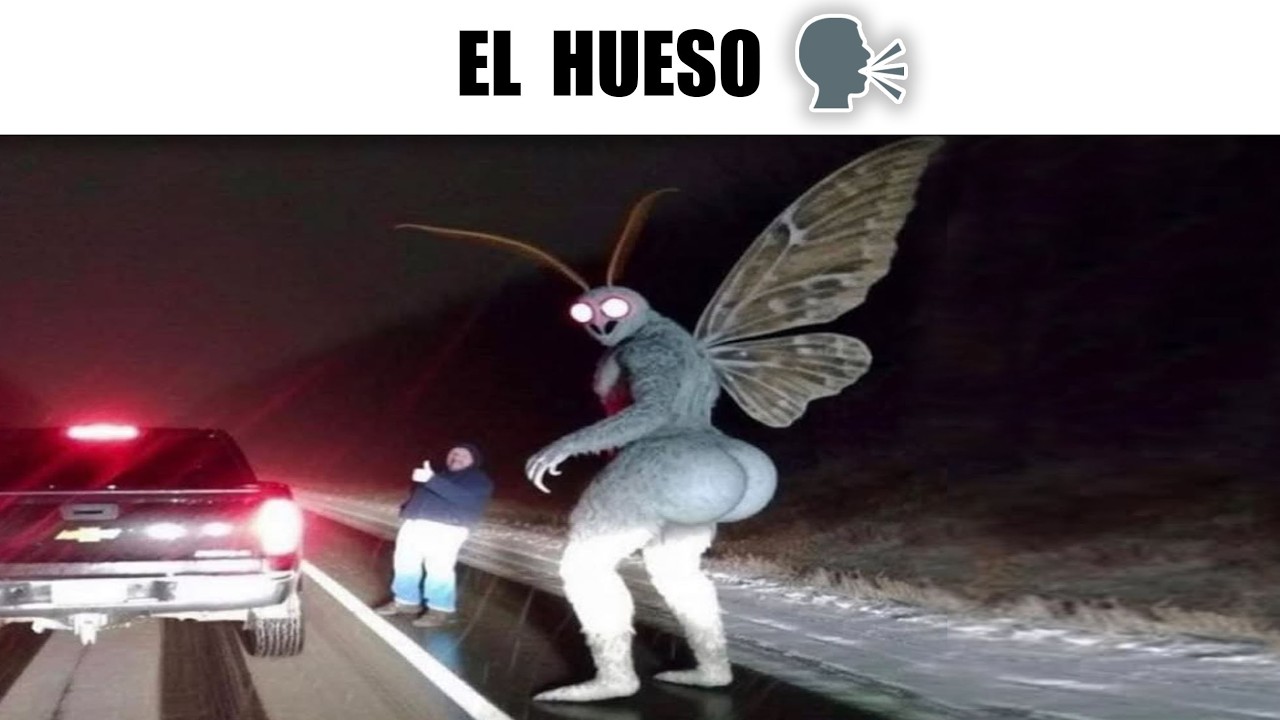 MEMES RANDOM #734