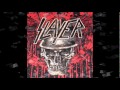 SLAYER ~ PERVERSIONS OF PAIN ( Diabolus in Musica ) With LYRICS