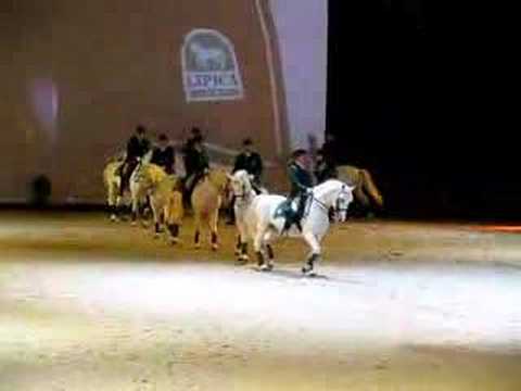 Cheval & Poney : Mon Haras Nintendo DS