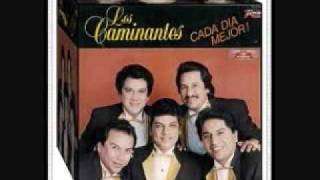 los caminantes ya viene amaneciendo_0001.wmv