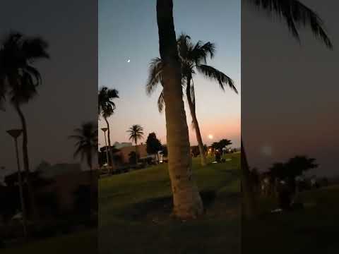 Beautiful beach 🏊