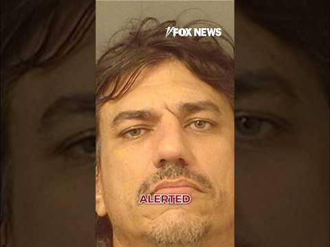 CHILLING ARREST: Gun, knives found in car at Florida airport #short #us #news #foxnews #fox #florida