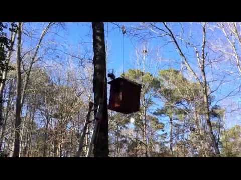 Hoisting a Barred Owl box into a tree using a winch attached to a lawn tractor.
