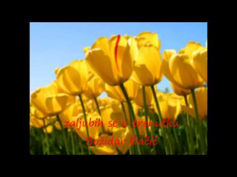 Božidar Đačić - Zaljubih se u trenutku