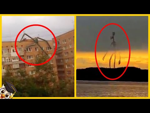 10 Giant Creatures Caught on Camera