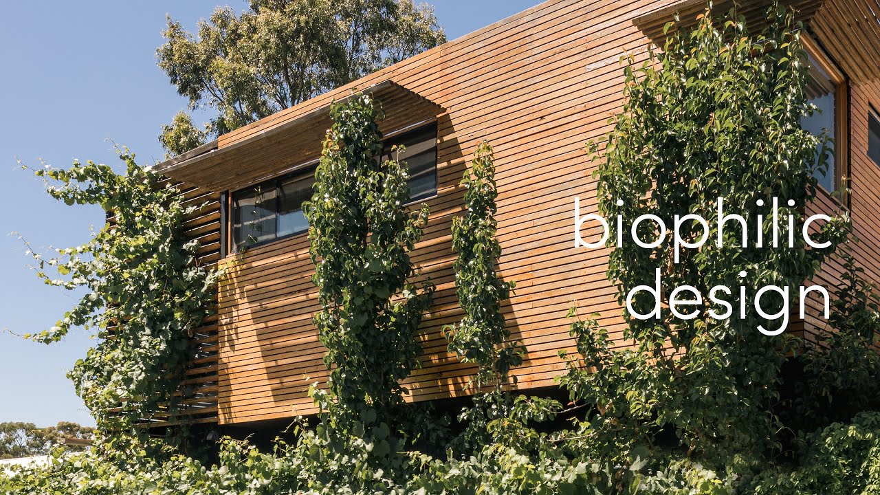 Biophilic Design - 7 Principles to Better Connect Your Home with Nature