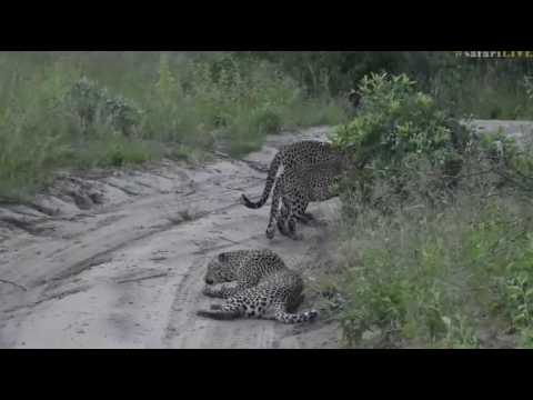 March 09, 2017- FIFTEEN impressive minutes with Karula, Hosana and Xongile