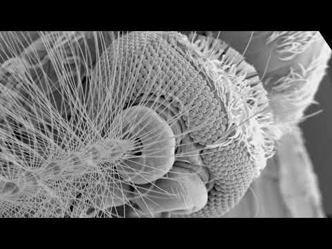 Nanotube - Home Shopping, 2002 - Pete Namlook & David Moufang (Move D)