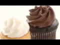Chocolate Or Vanilla Song 