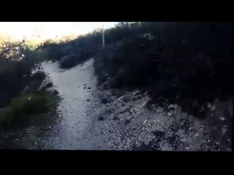 San Gabriel Mt - You and Me (W Darling) Bassnectar - Mistery Song (Bassnectar feat. Beginners