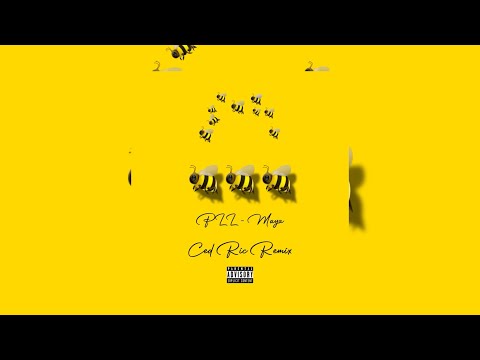 Pll Ft Ced Ric  - Maya ( Remix 2023 )