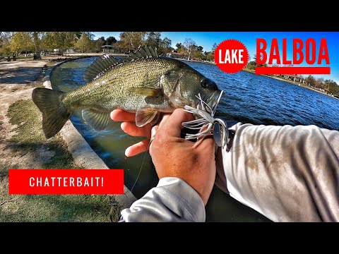 岸釣りバルボア湖 - チャターベイト エディション