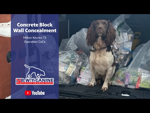 Concrete Block Wall Concealment