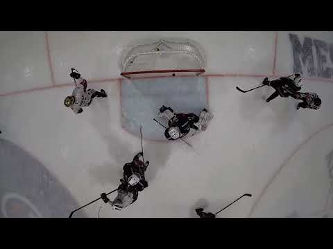 Maalikooste: Hokki - Kiekko-Pojat 15.11.2024