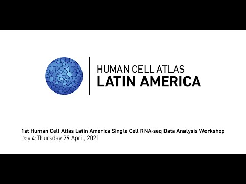 Day 4: HCA Latin America Single-Cell RNA-SEQ Data Analysis Workshop (Virtual)