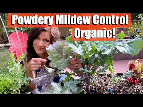 , title : 'How to Control & Prevent Powdery Mildew - Organically!'