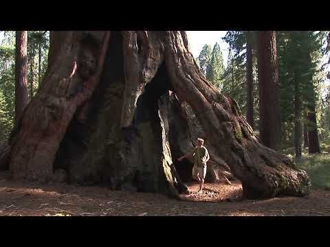 Minute Walk in History - Yosemite National Park