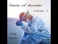 Sense of Number