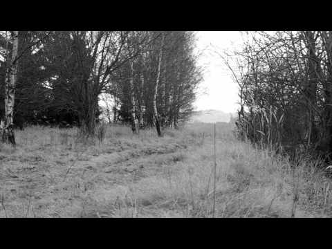 Bohuslav Martinů - Divertimento for two flutes