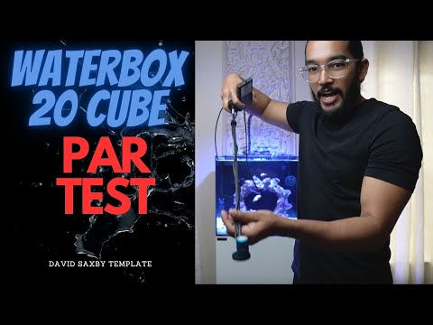 Waterbox 20 cube PAR testing #reeftank #partest #aquarium