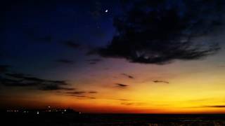 wet cat-mysterious blaze