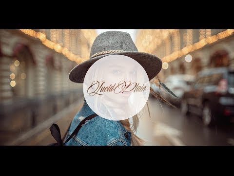 Elegant Ape - Screaming In The Dark (Velker Remix)