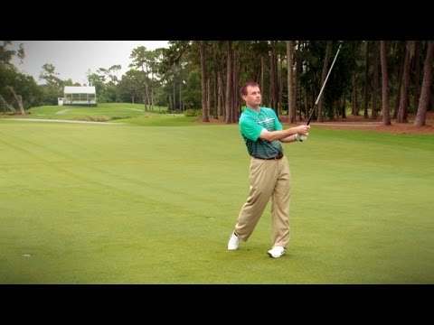 PGA Professional tips on playing No. 16 at TPC Sawgrass