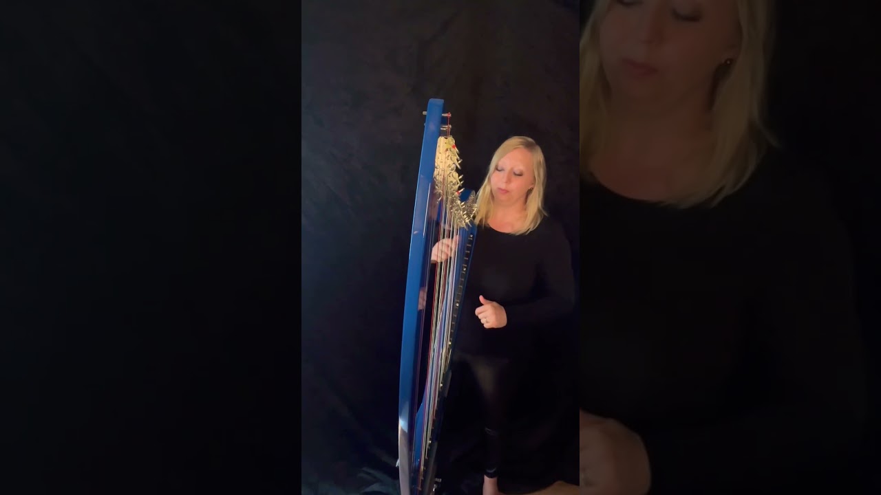 Promotional video thumbnail 10 for Evelyn's Music - Professional Piano and Violin