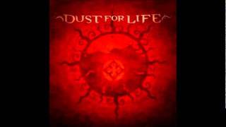 Dust For Life- Dragonfly