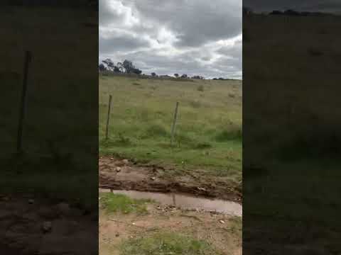 Las Flores…Rivera🇺🇾