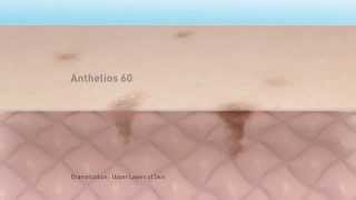 L'Oreal | LaRoche Posay | Anthelios Skin Damage :14