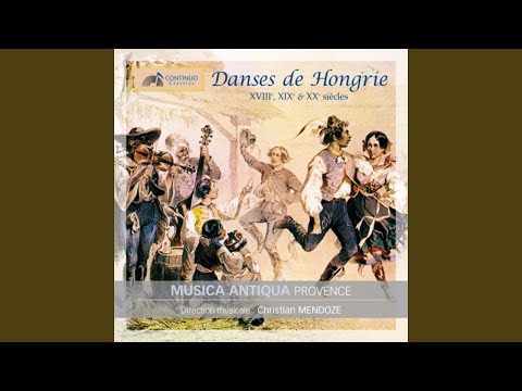 Danses hongroises verbunkos: II. Allegretto