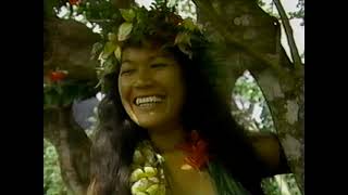 Jimmy Buffett One Particular Harbor 1984