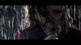 Silversun Pickups - The Royal We | Fan Music Video