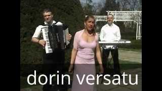 preview picture of video 'dorin versatu ronat'